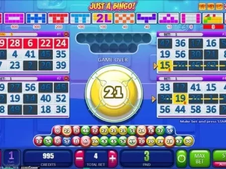 Как играть в Бинго: правила игры, стратегии, суть лотереи