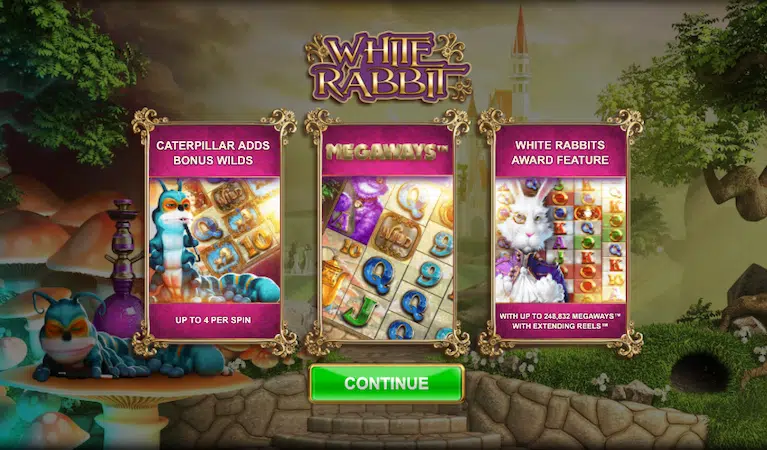 Демо White Rabbit