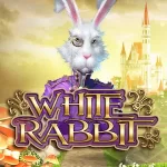 Автомат White Rabbit