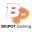 Bigpot Gaming провайдер