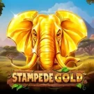 Stampede Gold — джекпоти, фріспіни та виплати