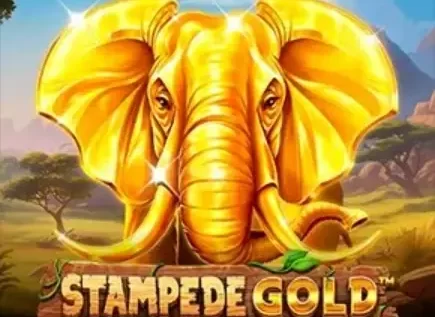 Stampede Gold — джекпоти, фріспіни та виплати