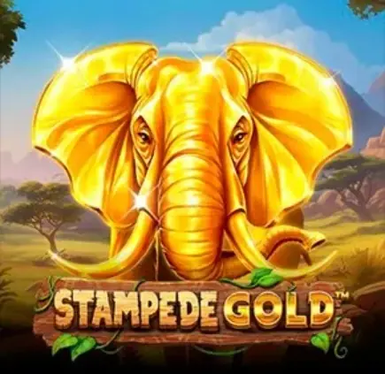 Stampede Gold — джекпоти, фріспіни та виплати