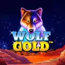 Wolf Gold від Pragmatic Play — де грати в Україні 2026