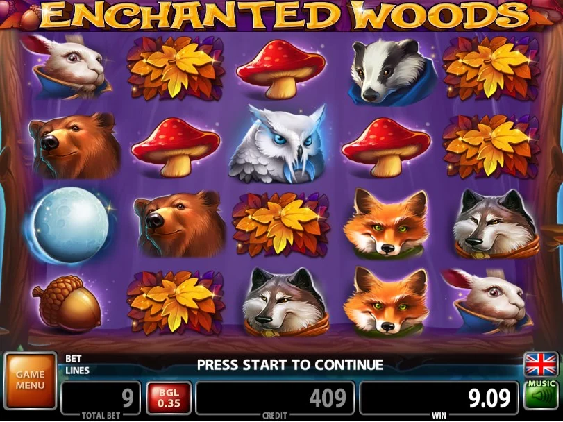 Enchanted Woods