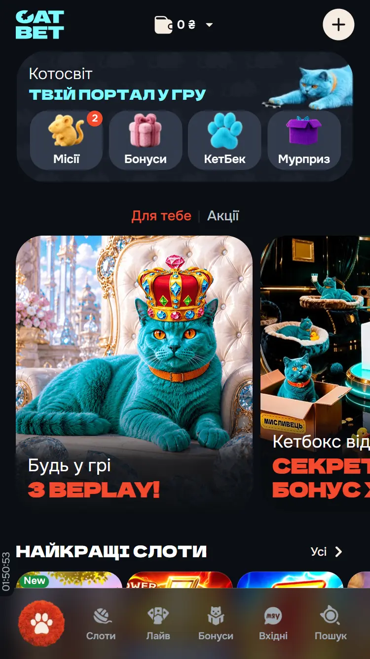 Как пополнить счет в Catbet: все способы и пошаговая инструкция