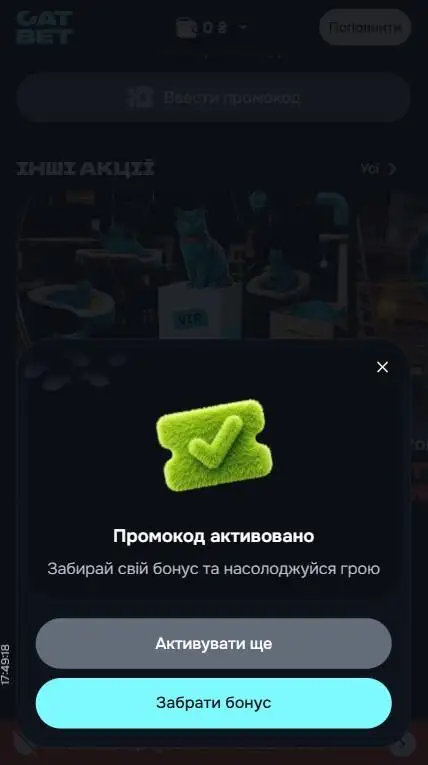 Успішна активація промокоду в CatBet