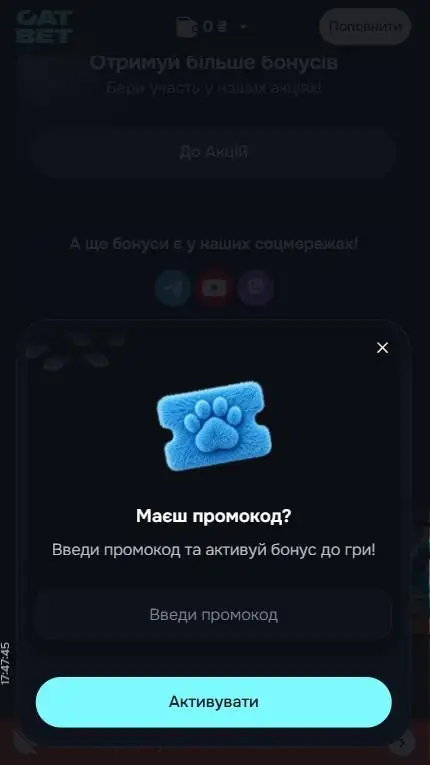 Поле введення промокоду в CatBet